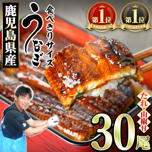【1084329a】＜食べきりサイズ！＞東串良町のうなぎ蒲焼(無頭)(30尾・計3000g・タレ、山椒付) うなぎ 高級 ウナギ 鰻 国産 蒲焼 蒲焼き たれ 鹿児島 ふるさと 人気 【アクアおおすみ】 2248135 - 鹿児島県東串良町