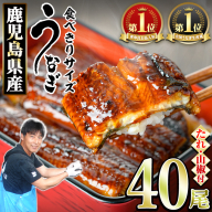 【1434330a】＜食べきりサイズ！＞東串良町のうなぎ蒲焼(無頭)(40尾・計4000g・タレ、山椒付) うなぎ 高級 ウナギ 鰻 国産 蒲焼 蒲焼き たれ 鹿児島 ふるさと 人気 【アクアおおすみ】