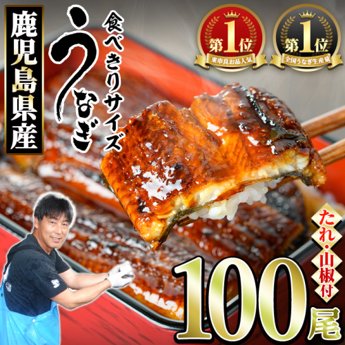 【3344331a】＜食べきりサイズ！＞東串良町のうなぎ蒲焼(無頭)(100尾・計10000g・タレ、山椒付) うなぎ 高級 ウナギ 鰻 国産 蒲焼 蒲焼き たれ 鹿児島 ふるさと 人気 【アクアおおすみ】 2248182 - 鹿児島県東串良町