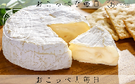 カマンベールチーズ『SAYURI』2個セット