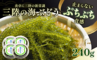三陸 海ぶどう 240g (60g×4p) 季節限定 プチプチ食感 海ぶどう 海ブドウ うみ ぶどう ウミブドウ 新鮮 直送 お刺身 刺し身 刺身 お土産 健康 栄養 サラダ おつまみ 海藻 グリーンキャビア ごはん 夕飯 おかず 米 丼 岩手 三陸 大船渡 10000円 1万円