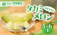 【先行予約】タカミメロン 5 ～ 6玉 入り（ 計 4kg 以上 ）メロン タカミメロン フルーツ 果物 愛知県 田原市 渥美半島 お取り寄せ スイーツ ギフト 贈り物 プレゼント 贈答 贈答用 ニュー渥美 観光