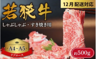 【先行予約 年末特集】A4～A5ランク 若狭牛 しゃぶしゃぶ・すき焼き用（リブロース） 約500g  [B-066009_sp] / 福井市 国産 牛肉 ブランド牛 ギフト 福井県 黒毛和牛 牛肉 ロース お肉 和牛 ギフト 食べ物 お取り寄せ グルメ お祝い 肉 内祝い