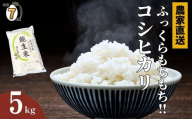 【2026年1月発送】令和7年産新米予約 新潟県産コシヒカリ『能生米』5kg 農家直送 米・食味鑑定士お墨付き 2025年産 あぐ里能生 能生米【新潟県 糸魚川市 米 お米 こめ コメ ご飯 ライス ふるさと納税米 ブランド米 おすすめ ギフト 5キロ 精米 白米 人気 食品 選べる配送月 先行予約】