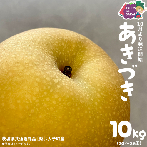 あきづき 梨 10kg （20～36玉）【2025年10月より発送開始】（茨城県共通返礼品 [梨]：大子町産） なし 旬 お取り寄せ フルーツ 甘い ジューシー 和梨 時期 秋月 [FC08-NT] 2249110 - 茨城県つくばみらい市