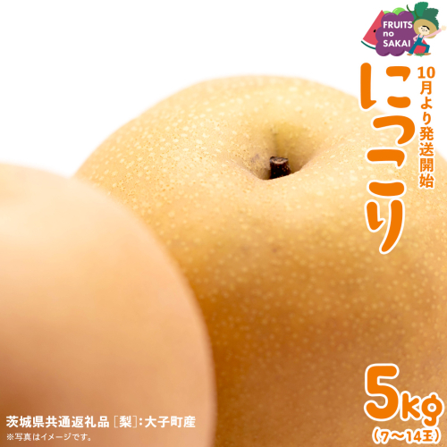 にっこり 梨 5kg （7～14玉）【2025年10月より発送開始】（茨城県共通返礼品 [梨]：大子町産） なし 旬 お取り寄せ フルーツ 甘い ジューシー 和梨 時期 [FC09-NT] 2249505 - 茨城県つくばみらい市