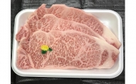 長崎和牛サーロインステーキセット（600g）