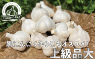 【2025年産】にんにくのよしだ家 青森県産 にんにく 大サイズ 800g 福地ホワイト種 にんにく 青森県 にんにく 三戸町 H2909