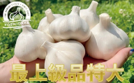 【2025年産】にんにくのよしだ家 青森県産 にんにく 特大サイズ・６玉 福地ホワイト種 にんにく 青森県 にんにく 三戸町 R0407