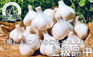 【2025年産】にんにくのよしだ家 青森県産 にんにく 中サイズ 800g 福地ホワイト種 にんにく 青森県 にんにく 三戸町 H2912