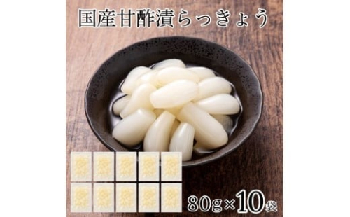 国産甘酢漬らっきょう 10袋 らっきょう漬け 漬物 | 石川県 小松市 【カネナカ食品工業】