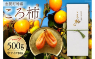 干柿 高級干し柿 『 ころ柿 』 500g (中サイズ 10個)  [しんめい 石川県 志賀町 AE4126] 果物 くだもの ほし柿 柿  期間限定 季節限定 数量限定 石川県産