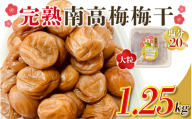 ＼ チョイス梅干しランキング1位! / 訳あり品 数量限定 完熟南高梅 梅干し1.25kg 2L ~ 3L サイズ / 梅 梅干し 梅干 訳あり わけあり ワケアリ 昔ながら まろやか 無添加 塩分濃度約20% 無添加人気 大容量 大粒 肉 厚 お米 おにぎり 焼酎 梅酒 自家栽培 健康