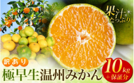 【先行予約】 訳あり 極早生温州みかん 約10kg＋傷み保証分400g 2S～3Lサイズおまかせ  【2025年9月下旬から10月中旬までに順次発送予定】/ 家庭用 ご家庭用 訳アリ わけあり ミカン 蜜柑 柑橘 果物 くだもの フルーツ 極早生 温州 夏みかん