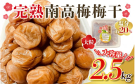 ＼ チョイス梅干しランキング1位! / 訳あり品 数量限定 完熟南高梅 梅干し 2.5kg (1.25kg×2個) 2L ~ 3L サイズ / 梅 梅干し 梅干 訳あり わけあり ワケアリ 昔ながら まろやか 無添加 塩分濃度約20% 無添加人気 大容量 2.5キロ 大粒 肉 厚 お米 おにぎり 焼酎 梅酒 自家栽培 健康