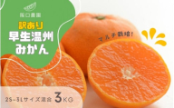 (先行予約) 2S~3L サイズ混合 3kg 阪口農園の 訳あり 早生温州みかん (マルチ栽培) 【2025年12月中旬から順次発送】 / みかん 蜜柑 先行予約 数量限定 ミカン