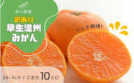 (先行予約) 2S~3L サイズ混合 10kg 阪口農園の 訳あり 早生温州みかん (マルチ栽培) 【2025年12月中旬から順次発送】 / みかん 蜜柑 先行予約 数量限定 ミカン