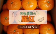 L-4Lサイズ 不揃い 濵地農園の麗紅れいこう) 約5kg(箱込み)【2026年2月初旬から3月初旬までに順次発送】 / みかん ミカン 蜜柑 れいこう 麗紅