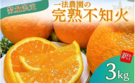 一法農園の完熟不知火 ご家庭用 ちょこっと訳あり L-3Lサイズ 3kg【2026年2月上旬～3月下旬までに順次発送】 / みかん ミカン 蜜柑 不知火 デコポン