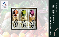 かき餅 おかき お菓子  《かきもち詰合せ 》能登野菜かきもち （特産野菜かきもち３種）