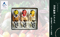 かき餅 おかき お菓子  《かきもち詰合せ 》加賀野菜かきもち （特産野菜かきもち３種）