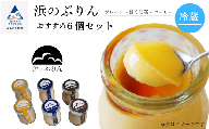 浜のぷりんおすすめ６個セット