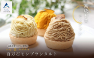 《高級和栗モンブラン》百万石モンブランタルト  和菓子 茶菓子 餡 スイーツ