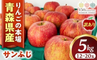 【訳あり】りんご【サンふじ】約5kg（12～20玉）【2025年産・先行予約】★2025年12月発送予定★ アップル 林檎 フルーツ 果物 果実 産地直送 農家直送 送料無料 青森県 三戸町 R0618