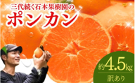 【先行予約】訳あり 石本果樹園の美味しい ポンカン 約4.5kg 20～25玉【1月初旬から２月初旬までに順次発送】 / みかん フルーツ くだもの 果物 ポンカン ワケあり 家庭用
