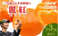 【先行予約】【訳あり】石本果樹園の美味しい麗紅（レイコウ）約3kg 18～20玉前後【2月中旬から3月中旬までに順次発送】 / みかん フルーツ くだもの 果物 れいこう
