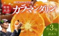 【先行予約】【訳あり】石本果樹園の美味しいカラ・マンダリン 約3kg 約20～25玉前後【2027年4月中旬から5月中旬に順次発送予定】 / みかん フルーツ くだもの 果物 先行予約 カラマンダリン【min021】