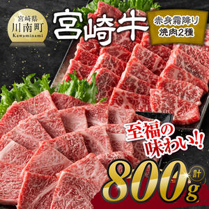 ※発送時期が選べる※宮崎牛赤身霜降り焼肉2種 800g 【 肉 牛肉 国産 宮崎県産 宮崎牛 黒毛和牛 和牛 焼肉 BBQ 4等級 A4ランク 肩ロース ウデ モモ 】 2252872 - 宮崎県川南町