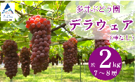 【 2026年 先行予約】ぶどう デラウェア  2kg（7房～8房） 果物 ぶどう 葡萄 ぶどうふるさと納税 フルーツ 【多井ぶどう園】