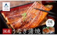 【真空パック】国産うなぎ蒲焼 約200g×1尾 鰻かば焼き タレつき 関西風 小松市 石川県 【株式会社竹本商店】