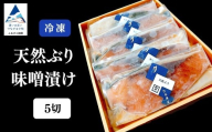 天然ブリ味噌漬け 5切れ 冷凍便 鰤 ぶり 小松市 石川県 【株式会社竹本商店】
