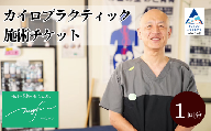 カイロプラクティック施術 (60分) 1回券 利用券 チケット 整体 マッサージ 小松市 【Health＆Beauty Studio nagiSa～なぎさ】