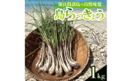 慶良間諸島の自然味覚 島らっきょう 1kg【1625152】