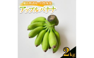 ＜2025年7月から順次発送＞慶良間諸島の自然味覚 アップルバナナ 2kg【1625154】