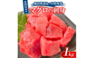 慶良間諸島の自然味覚 座間味村産のマグロの刺身 1kg(2～3柵)【1625436】