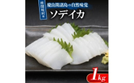 慶良間諸島の自然味覚 座間味村産のソデイカ 1kg(2～3柵)【1625441】