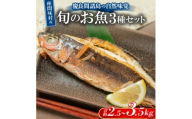 慶良間諸島の自然味覚 旬のお魚3種セット【1625450】