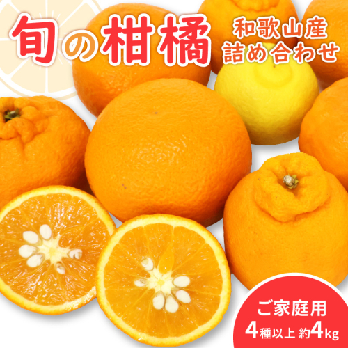 柑橘詰め合わせセット 家庭用4種以上 約4kg 和歌山産≪先行予約2026年1月下旬頃より順次発送分≫ 2253367 - 和歌山県御坊市