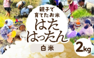 [白米2kg]お米 選べる 2kg 5kg 白米 玄米 お米 米 コメ こめ ご飯