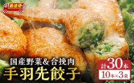 [最速便]手羽先餃子30本入り_M025-001-03-2W