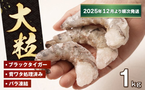 至福の大粒むきえび　背ワタ処理済 1kg【2025年12月より順次発送】　　[むきえび 冷凍 ムキエビ ブラックタイガー 大型 むきえび] 2253953 - 兵庫県淡路市