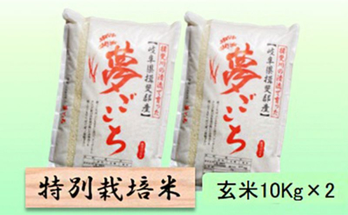 【令和7年産】特別栽培米 20kg【玄米】（夢ごこち） 2254362 - 岐阜県池田町