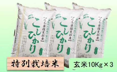 【令和7年産】特別栽培米 30kg【玄米】（コシヒカリ） 2254365 - 岐阜県池田町
