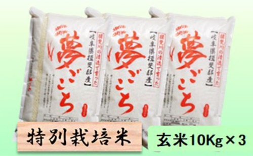 【令和7年産】特別栽培米 30kg【玄米】(夢ごこち) 2254366 - 岐阜県池田町