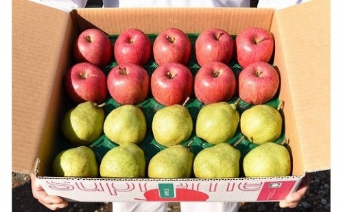農家直送！りんごとラ・フランス詰め合わせ 合計5kg 秀品 《ご家庭用》　010-B37