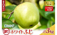【2025年11月後半発送】【訳あり】葉とらずホワイトふじ3kg